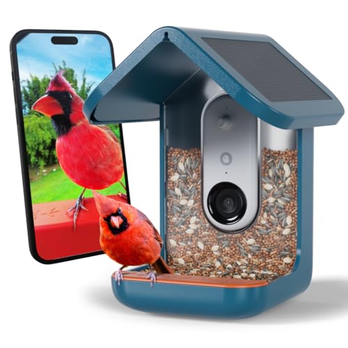 Smart Bird Feeder Camera - كاميرا ذكية لتغذية الطيور تعمل بالطاقة