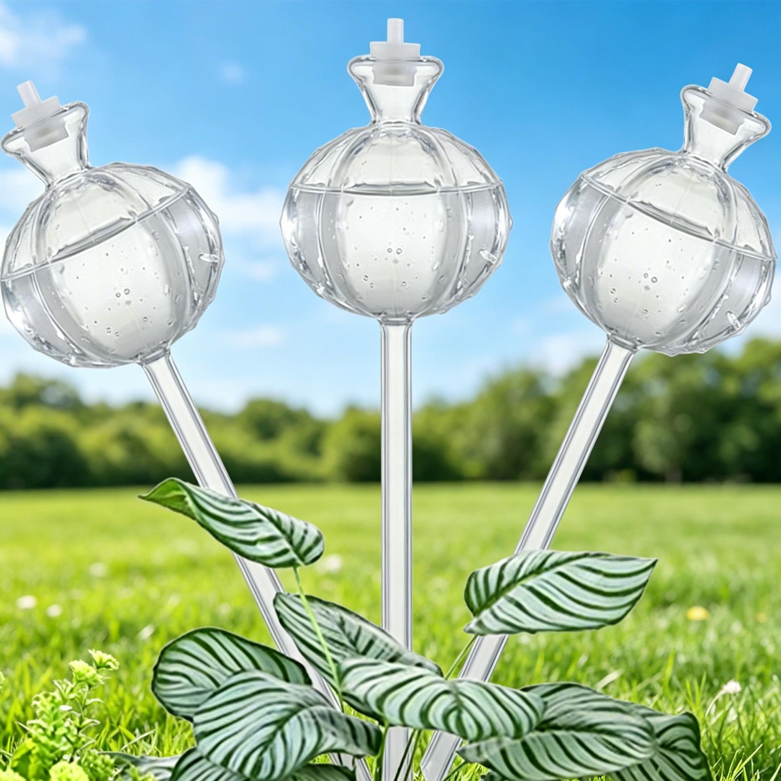 Plant Watering Globe - كرات ري ذاتي بطيء الإطلاق، 3