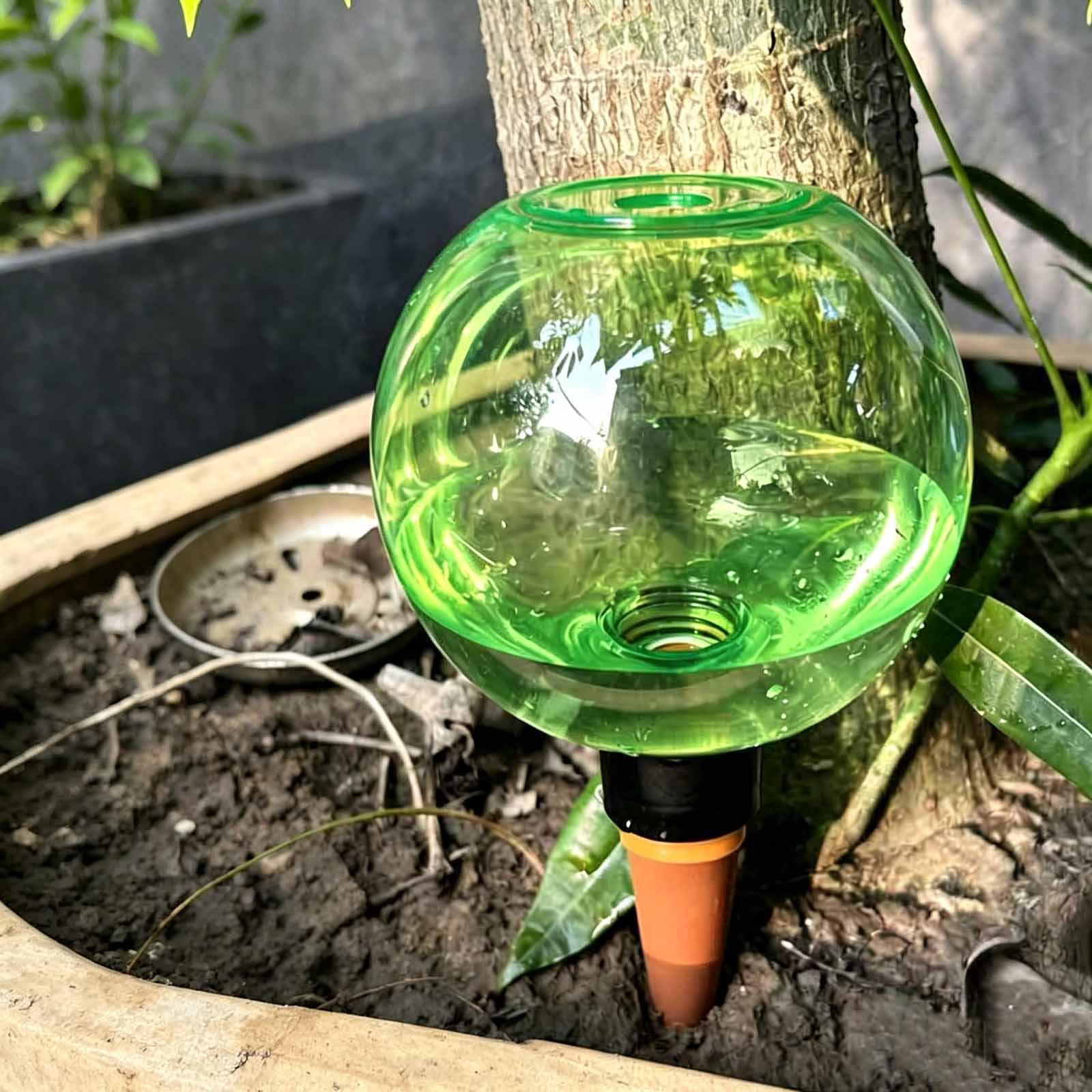 Plant Watering Globe - 1/4 قطع من كرات الري الأوتوماتيكية