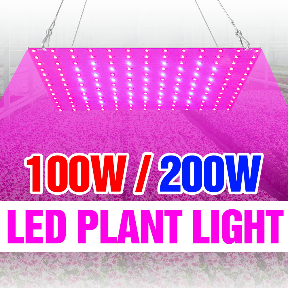 Grow Tent Complete Kit - مصباح نباتات LED بقوة 200 واط،