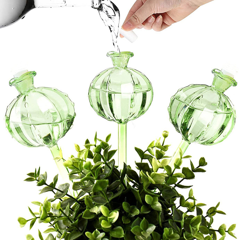 Plant Watering Globe - نظام ري آلي للنباتات على شكل