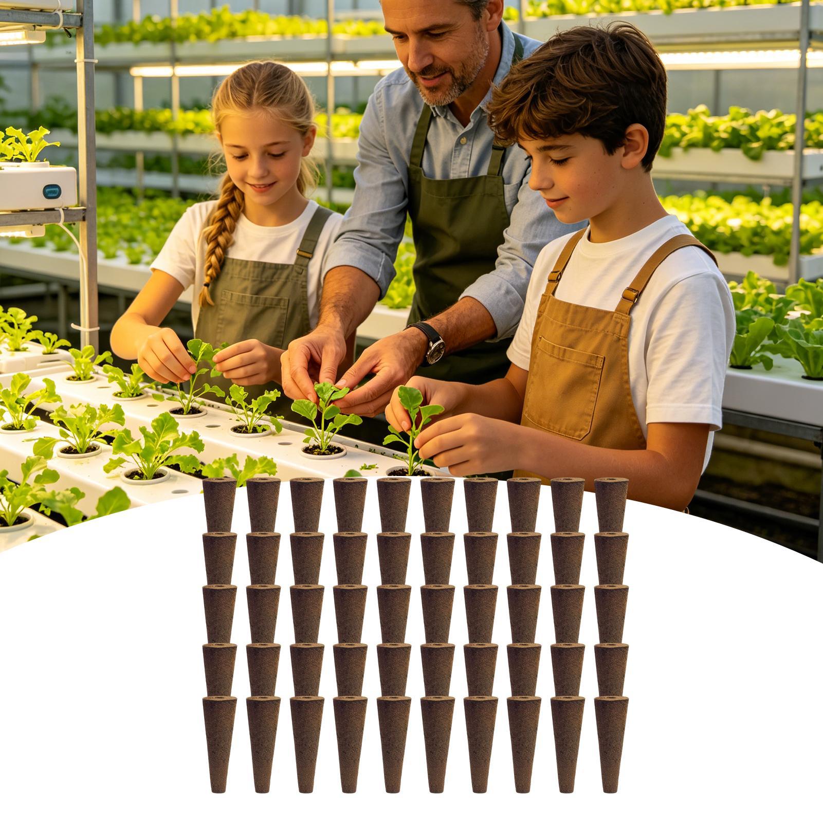 Aerogarden Seed Pod - 50 قطعة من الإسفنجات المخروطية البديلة