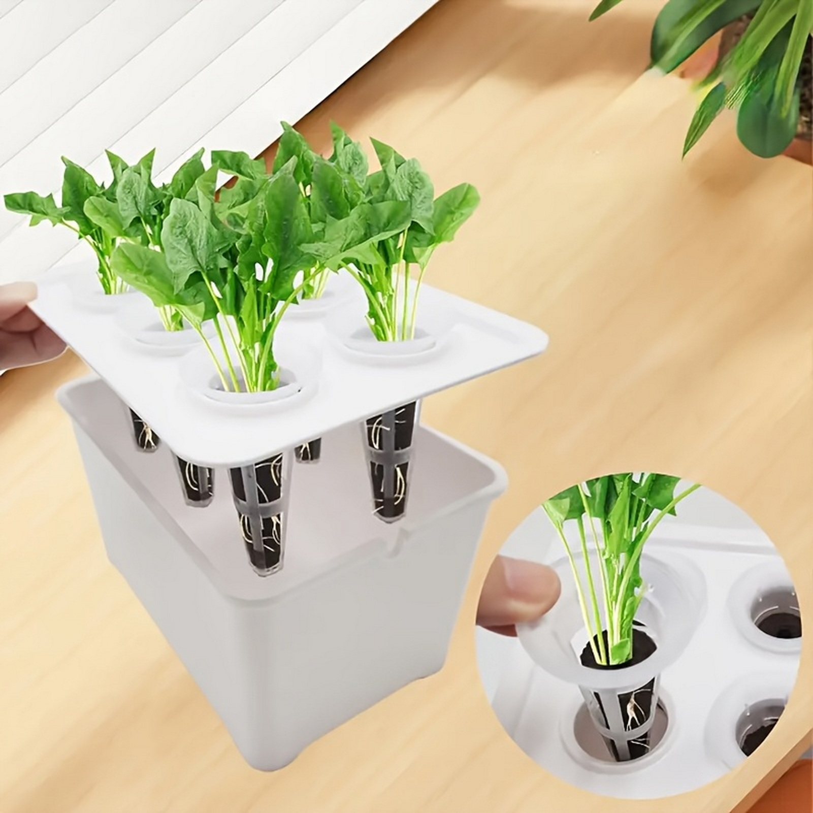 Aerogarden Seed Pod - صندوق مزارع مائي احترافي، حاوية زراعة