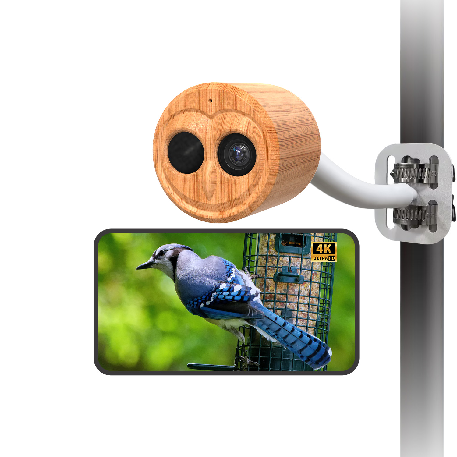 جهاز تغذية الطيور الذكي بدقة 4 - مراجعة Smart Bird Feeder Camera وسعره