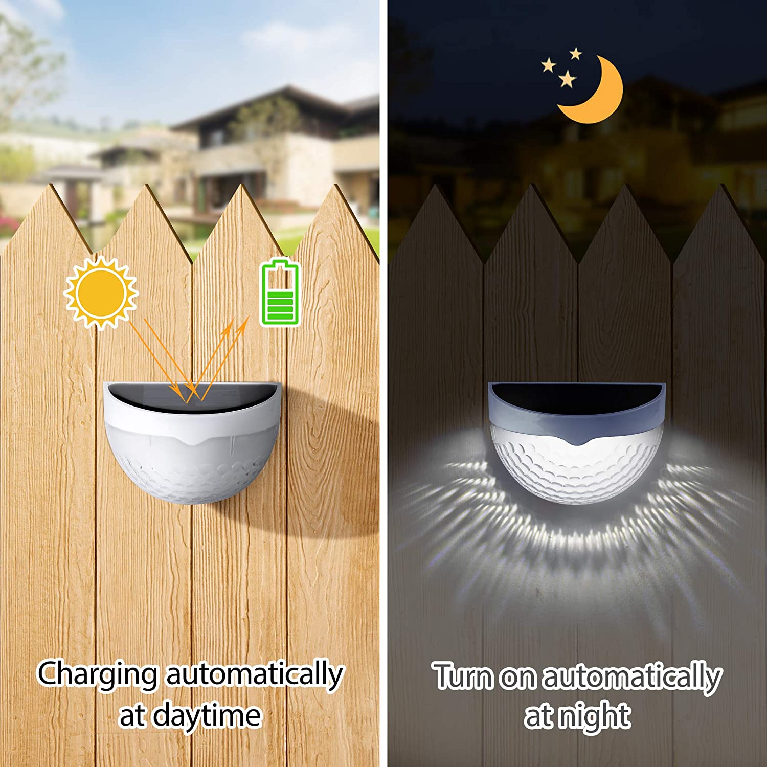 مصباح LED يعمل بالطاقة الشمسية - مراجعة Smart Garden Spotlights وسعره
