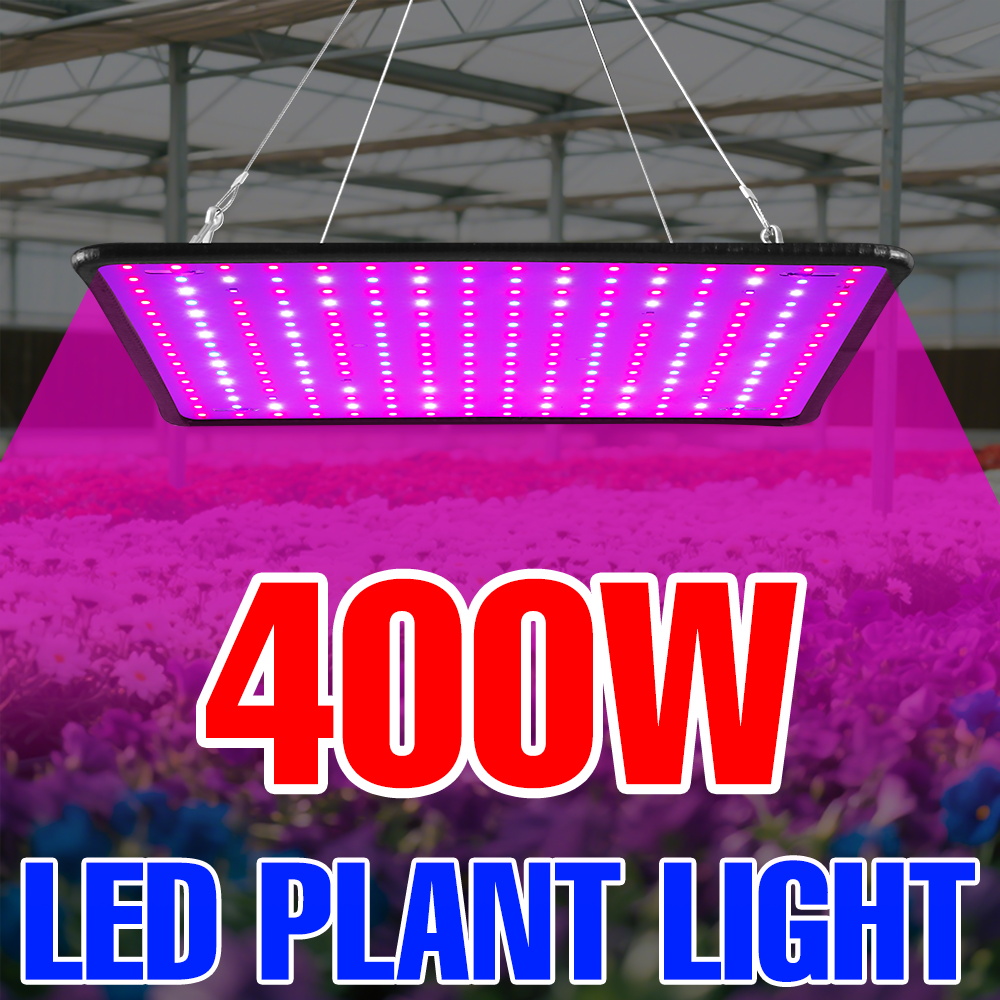 400 واط LED تنمو ضوء الطيف الك - مراجعة Grow Tent Complete Kit وسعره