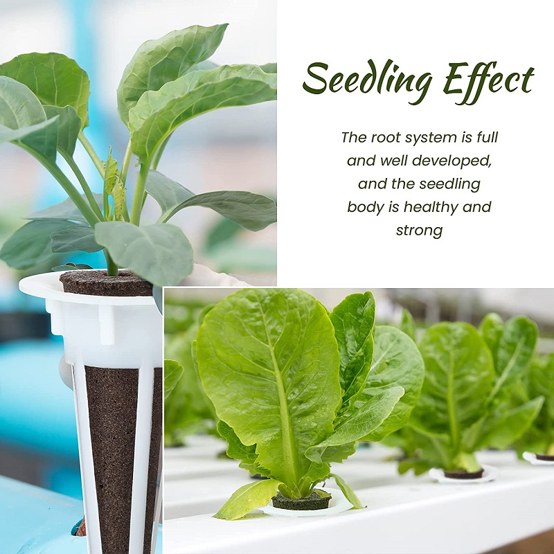 15/30 قطعة الزراعة المائية الا - مراجعة Aerogarden Seed Pod وسعره