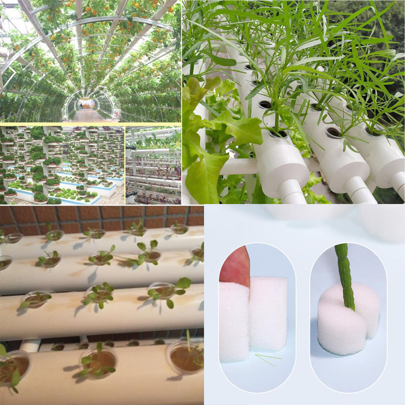 8 أحجام الدفيئة شبكة بدون تربة - مراجعة Aerogarden Seed Pod وسعره