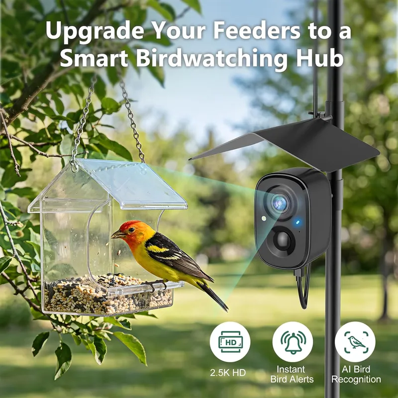 كاميرا ذكية للطيور تعمل بالطاق - مراجعة Smart Bird Feeder Camera وسعره