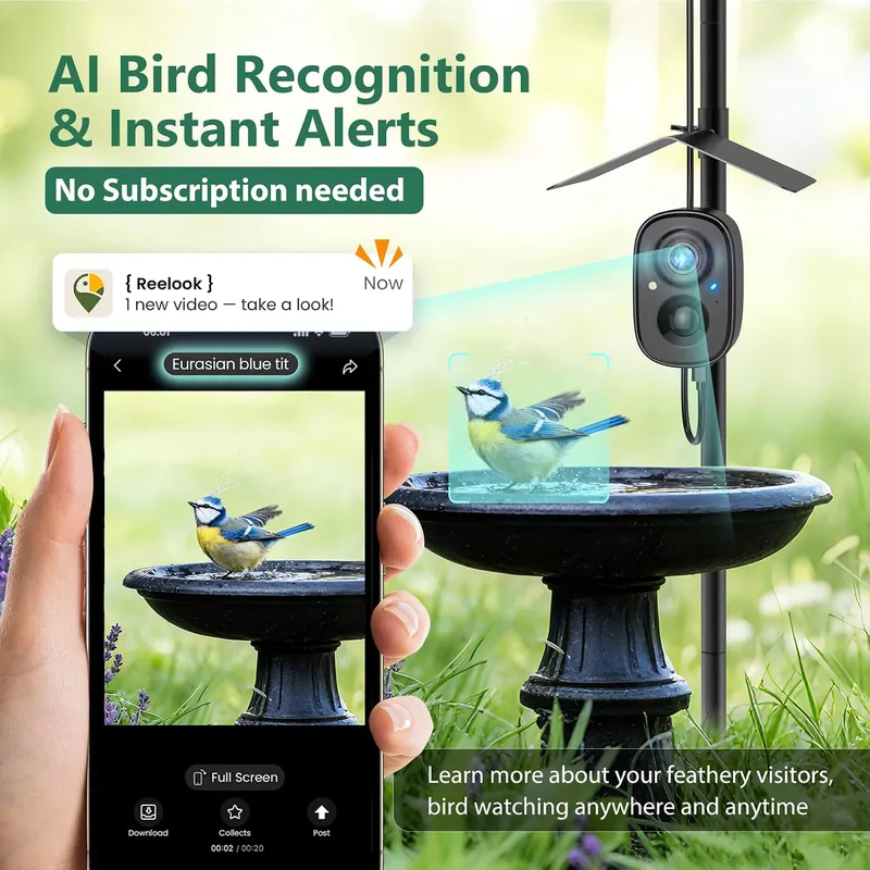 كاميرا ذكية للطيور تعمل بالطاق - مراجعة Smart Bird Feeder Camera وسعره