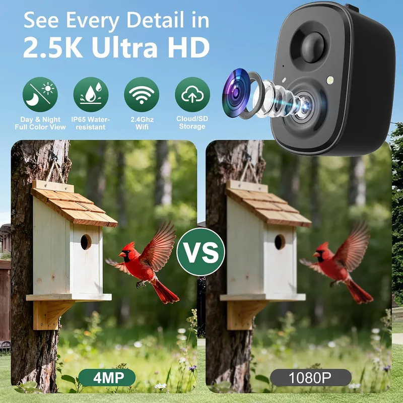 كاميرا ذكية للطيور تعمل بالطاق - مراجعة Smart Bird Feeder Camera وسعره