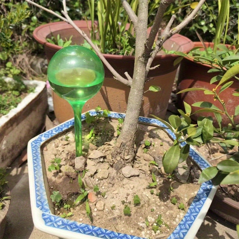 6 قطع من كرات الري الذاتي للنب - مراجعة Plant Watering Globe وسعره