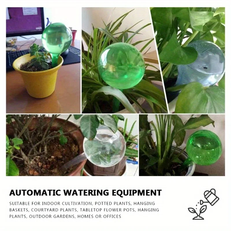6 قطع من كرات الري الذاتي للنب - مراجعة Plant Watering Globe وسعره