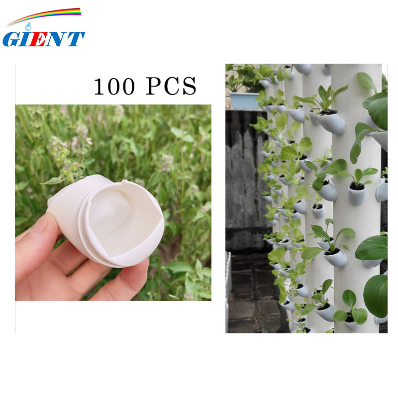 كوب أصيص لزراعة النباتات لحاوي - مراجعة Aerogarden Seed Pod وسعره