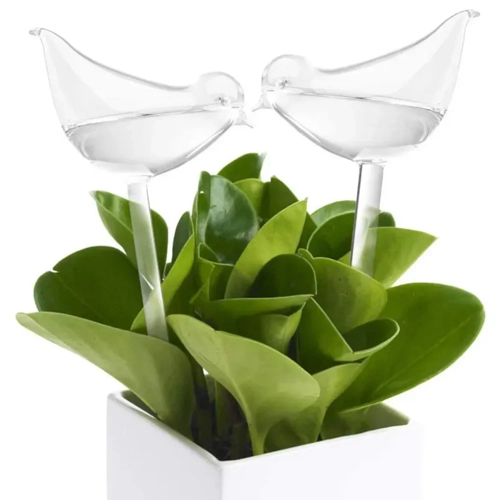 جهاز سقي الزهور الأوتوماتيكي ا - مراجعة Plant Watering Globe وسعره