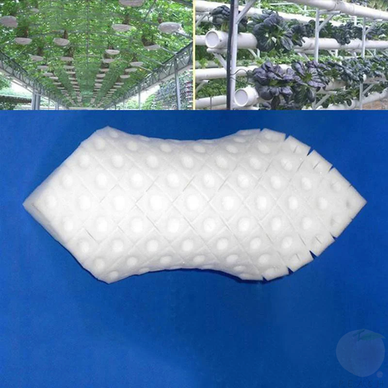 100 قطعة/ورقة إسفنج زراعة مائي - مراجعة Aerogarden Seed Pod وسعره