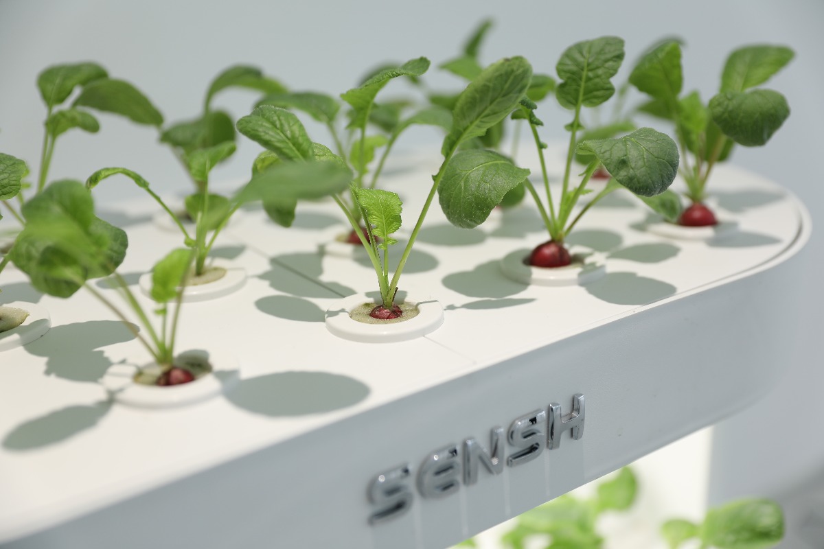 طقم حديقة زراعة مائية ذكي للمن - مراجعة Smart Garden Vertical Planter وسعره