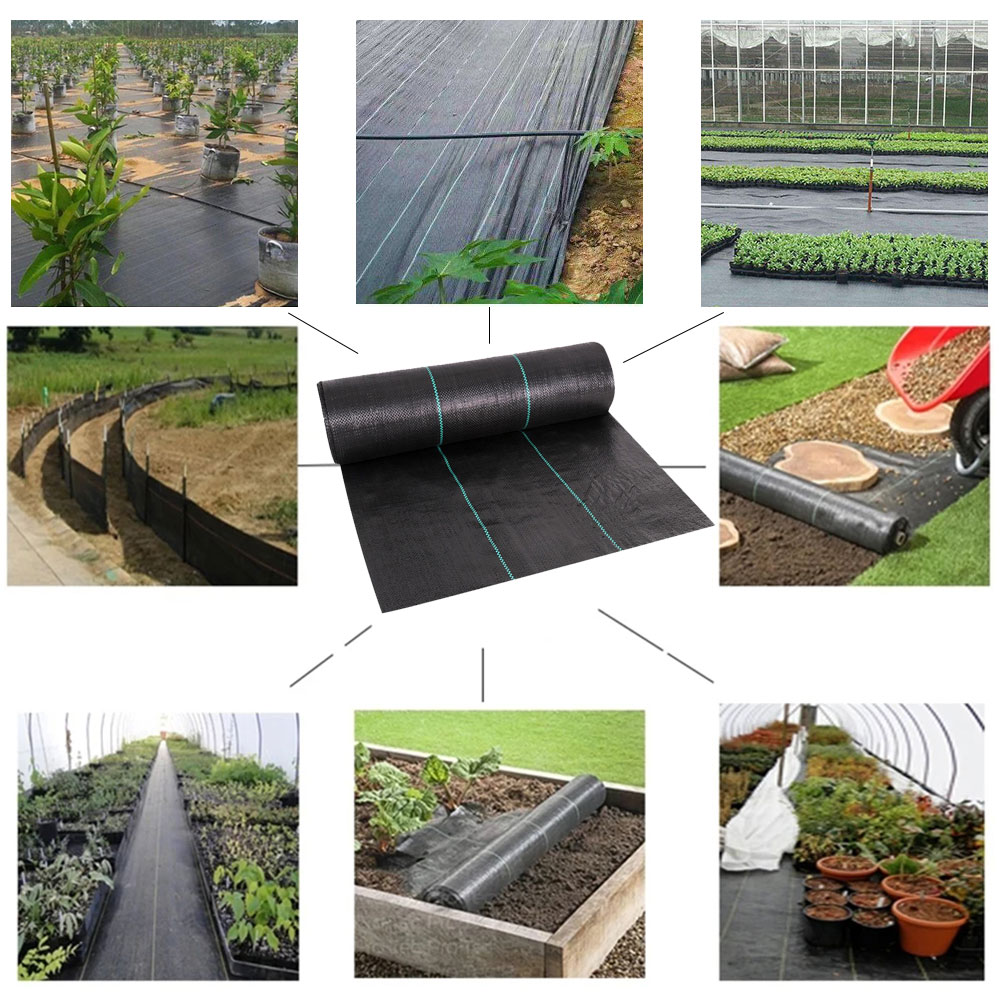 النسيج المنسوج من البولي إيثيل - مراجعة Smart Garden Greenhouse وسعره