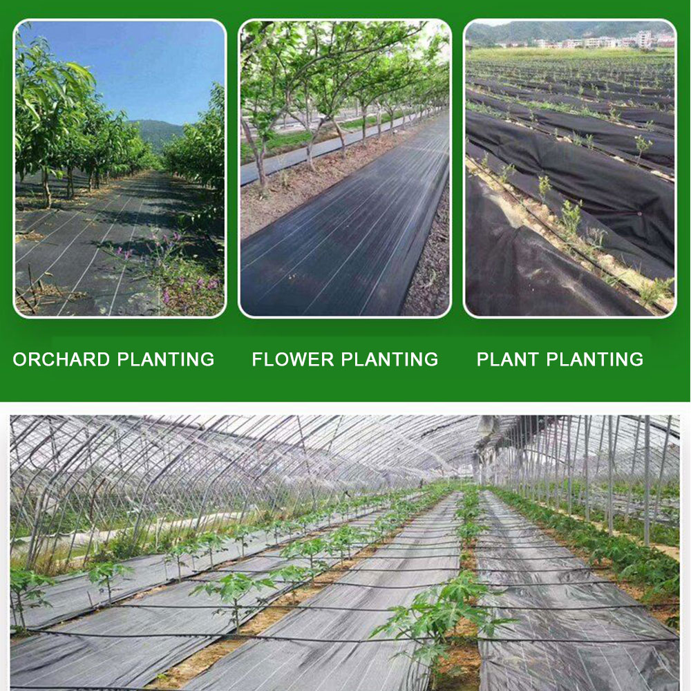 النسيج المنسوج من البولي إيثيل - مراجعة Smart Garden Greenhouse وسعره