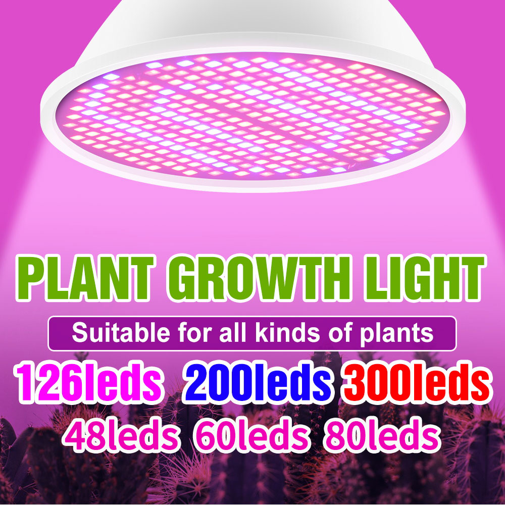 E27/E26 220 فولت LED تنمو ضوء  - مراجعة Grow Tent Complete Kit وسعره