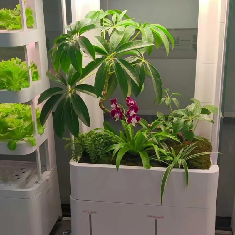 نظام زراعة عمودي داخلي ذكي للن - مراجعة Smart Garden Vertical Planter وسعره