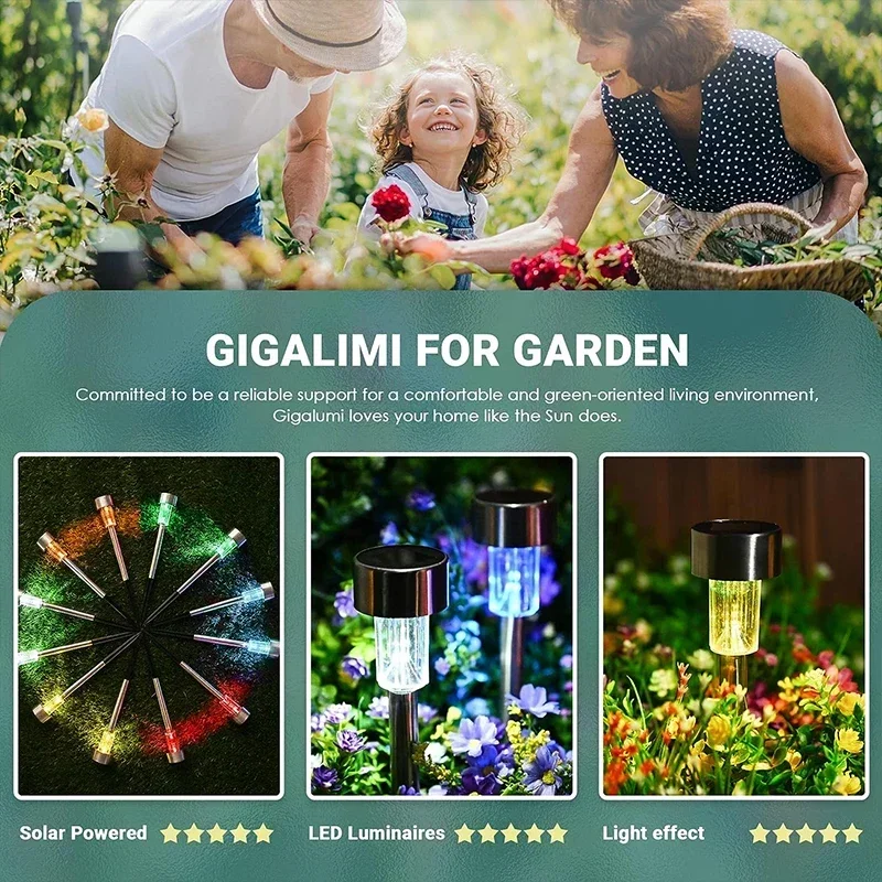 أضواء الشمسية في الهواء الطلق  - مراجعة Smart Garden Spotlights وسعره