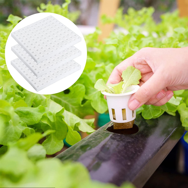 500 قطعة من إسفنجات الزراعة ال - مراجعة Aerogarden Seed Pod وسعره