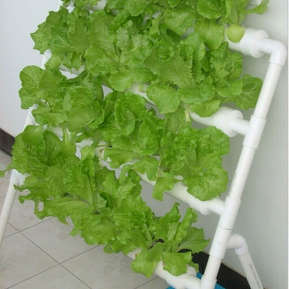 50 قطعة من أكواب الشبكة البلاس - مراجعة Aerogarden Seed Pod وسعره