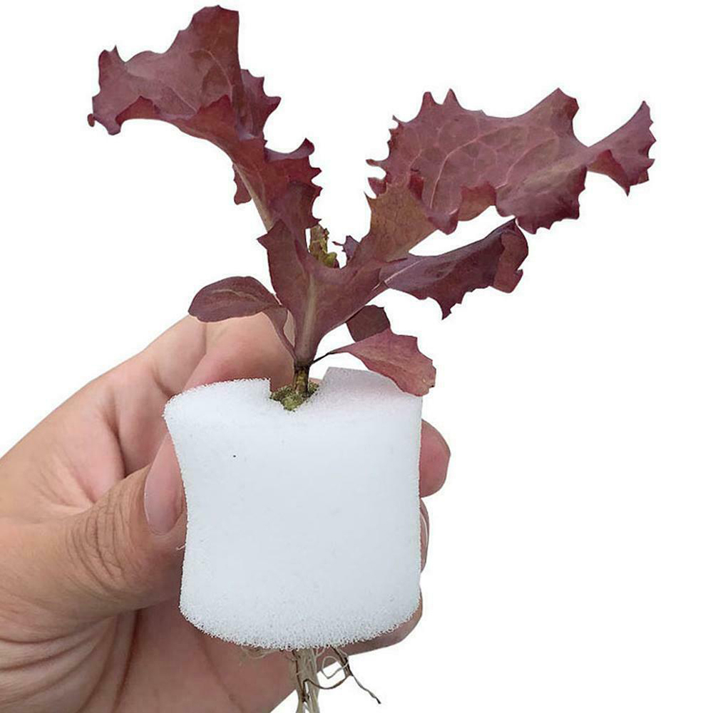 50 قطعة من أكواب الشبكة البلاس - مراجعة Aerogarden Seed Pod وسعره