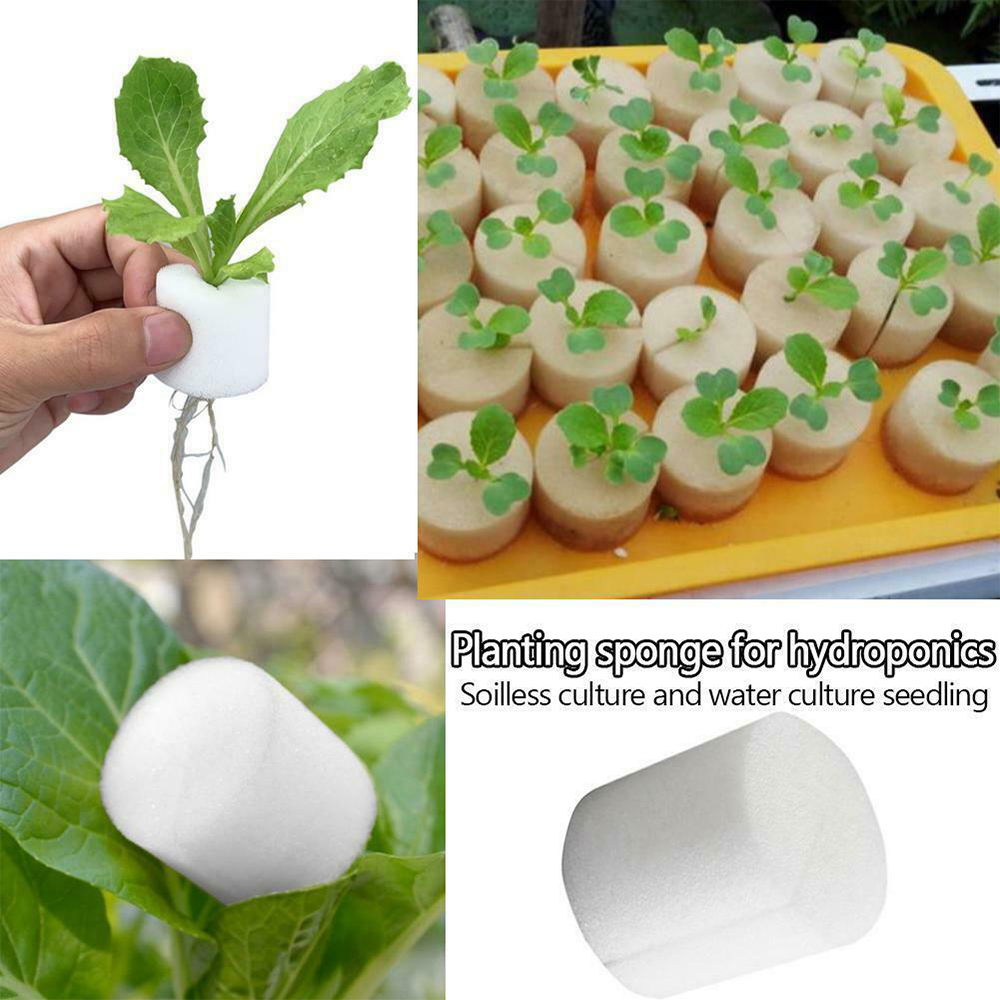 50 قطعة من أكواب الشبكة البلاس - مراجعة Aerogarden Seed Pod وسعره