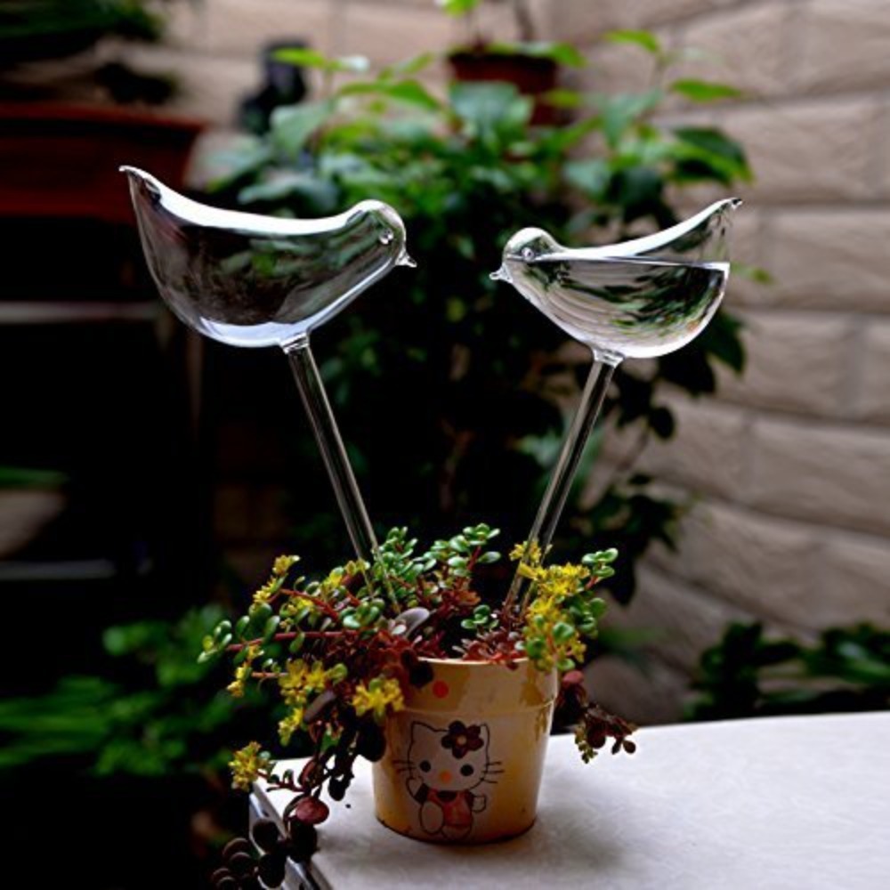 جهاز ري زهور أوتوماتيكي ، كرات - مراجعة Plant Watering Globe وسعره