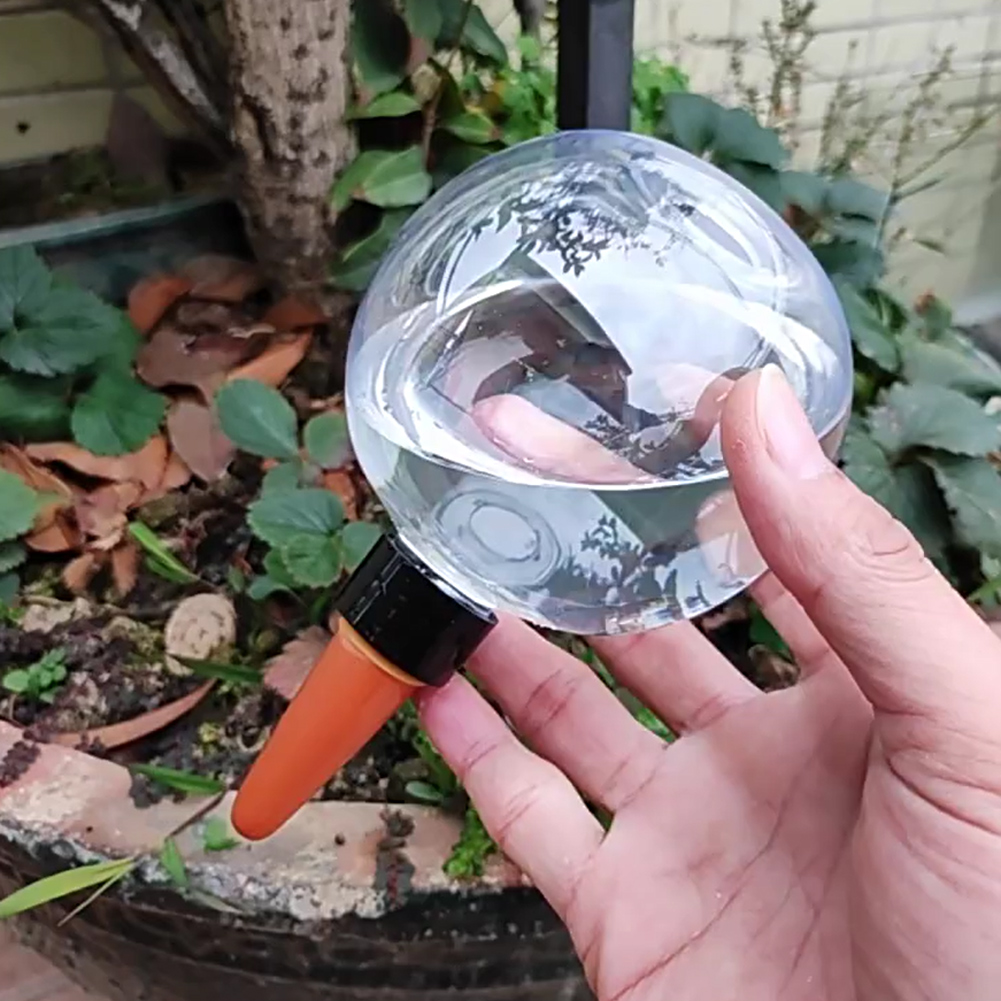 كرات ري ذاتية سعة 500 مل، نظام - مراجعة Plant Watering Globe وسعره
