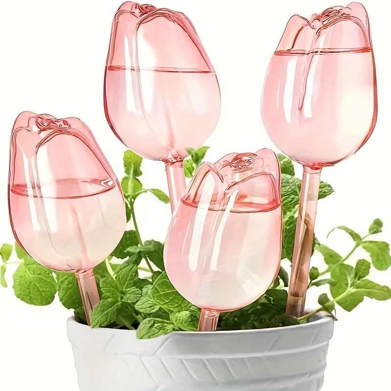 كرات سقي النباتات، نظام سقي أو - مراجعة Plant Watering Globe وسعره