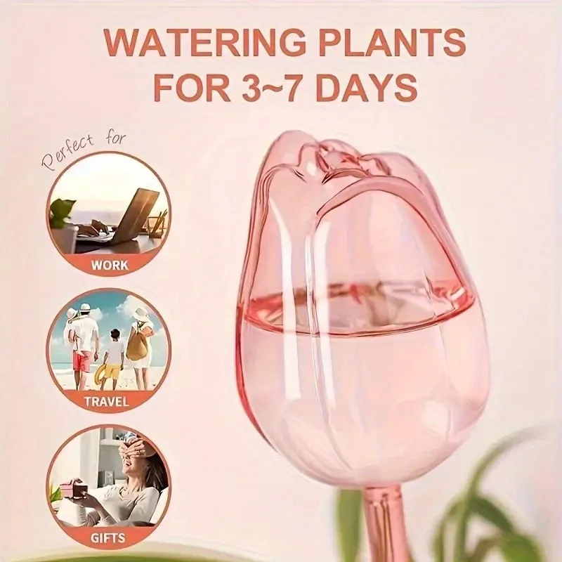 كرات سقي النباتات، نظام سقي أو - مراجعة Plant Watering Globe وسعره