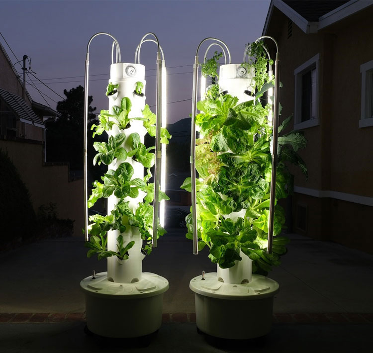 برج الزراعة المائية نظام النمو - مراجعة Smart Garden Vertical Planter وسعره
