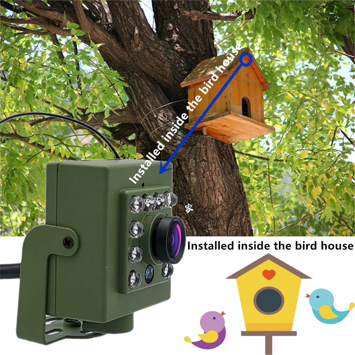 كاميرا مراقبة الطيور اللاسلكية - مراجعة Smart Bird Feeder Camera وسعره