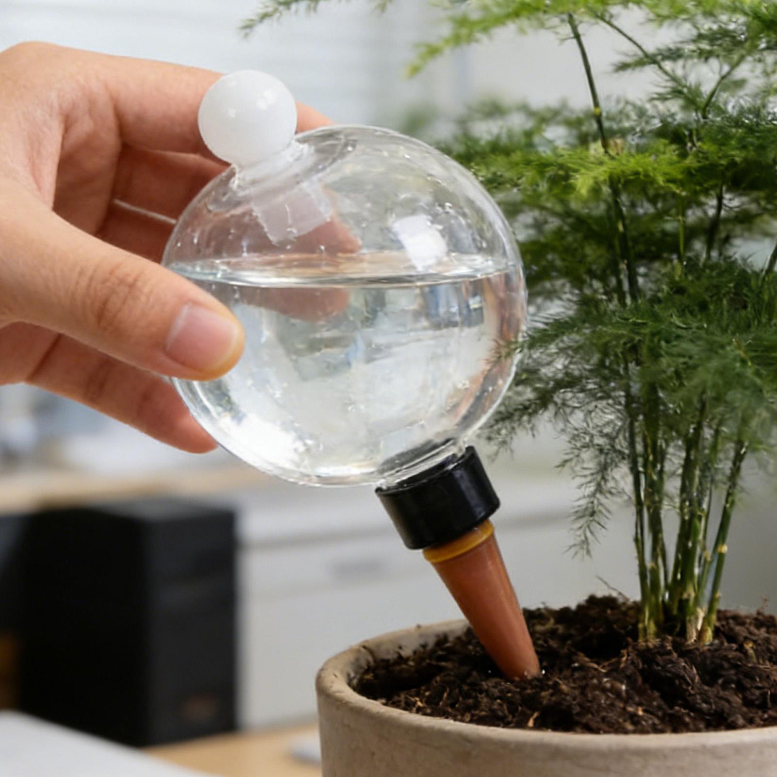 4 قطع من كرات الري البلاستيكية - مراجعة Plant Watering Globe وسعره