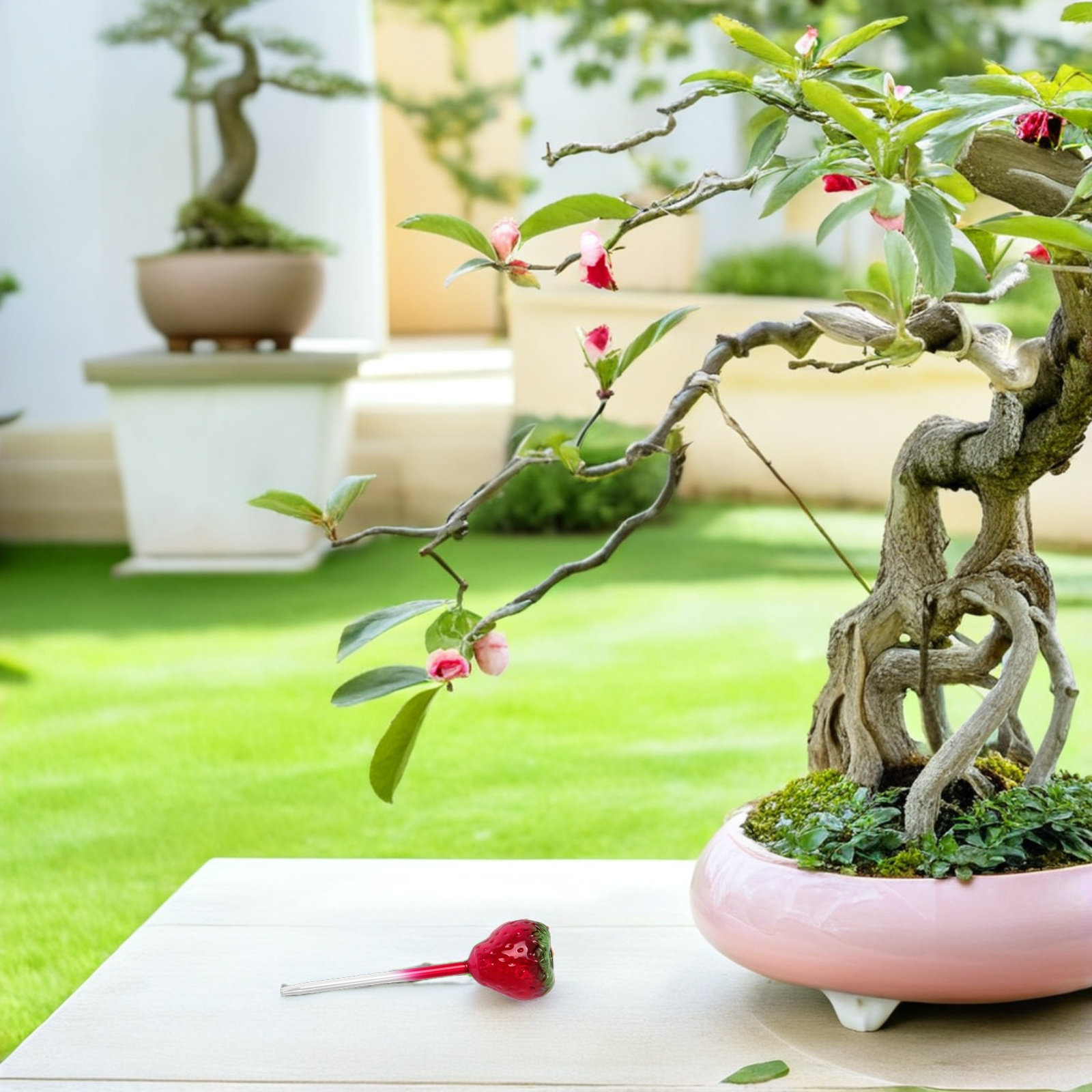 قطعتان من كرات الري الزجاجية ل - مراجعة Plant Watering Globe وسعره