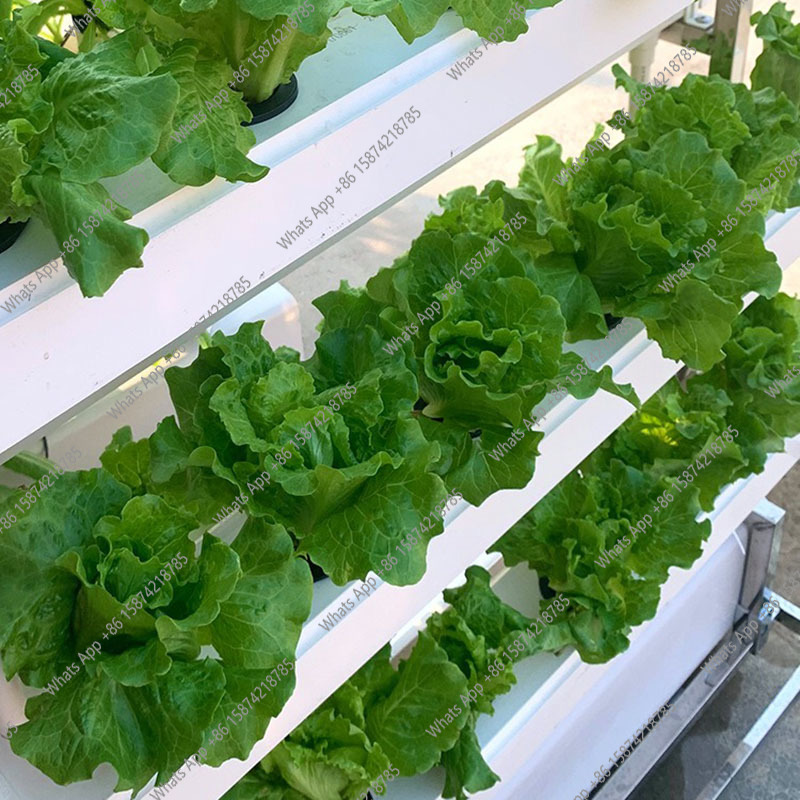 نظام زراعة الزراعة المائية زرا - مراجعة Smart Garden Vertical Planter وسعره