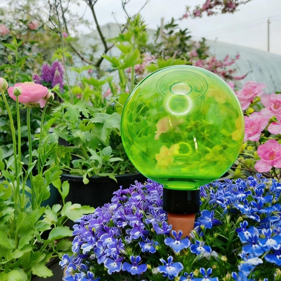 3 قطع من كرات الري الذاتي الكب - مراجعة Plant Watering Globe وسعره