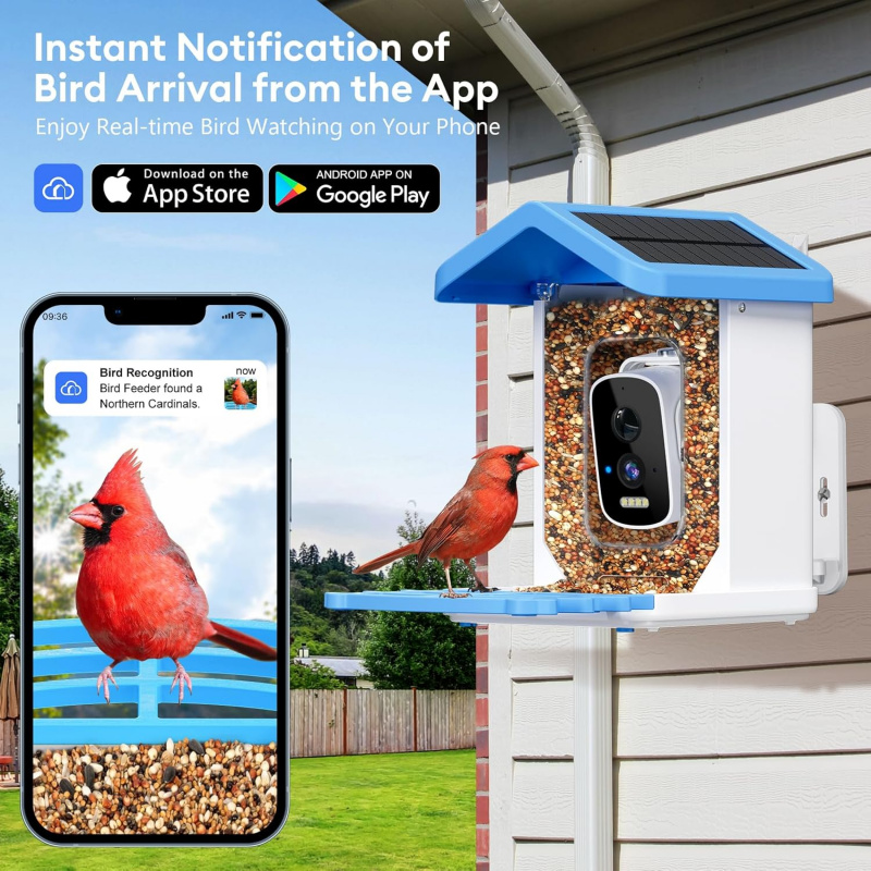 وحدة تغذية الطيور الذكية WiFi  - مراجعة Smart Bird Feeder Camera وسعره