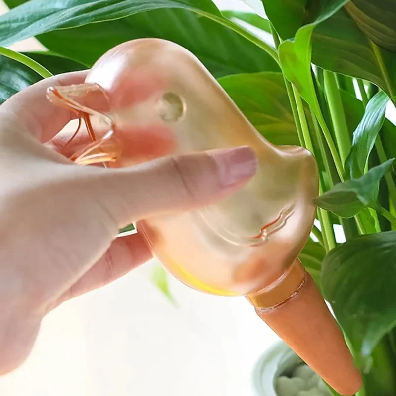 عالية الجودة التلقائي زهرة سقي - مراجعة Plant Watering Globe وسعره
