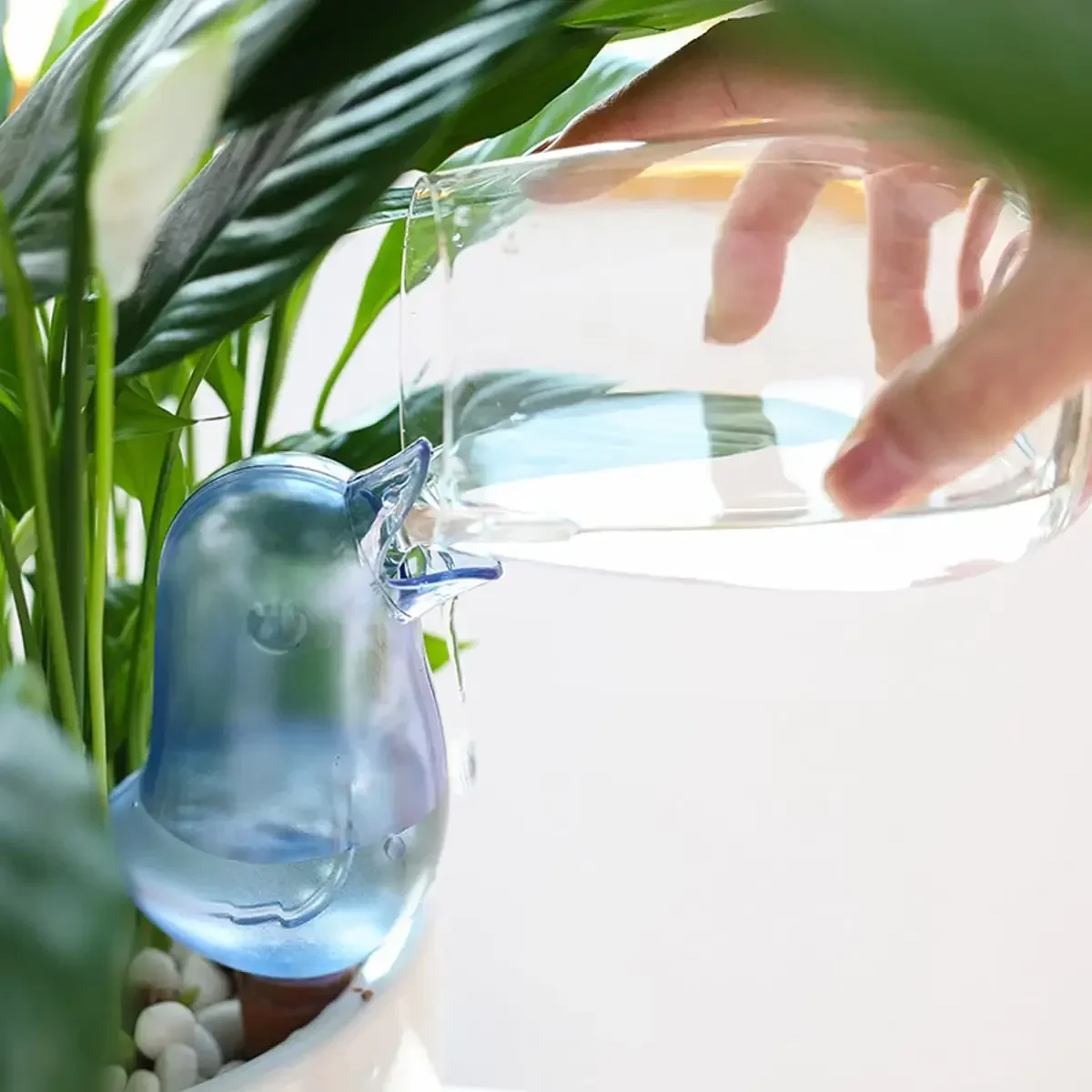 عالية الجودة التلقائي زهرة سقي - مراجعة Plant Watering Globe وسعره