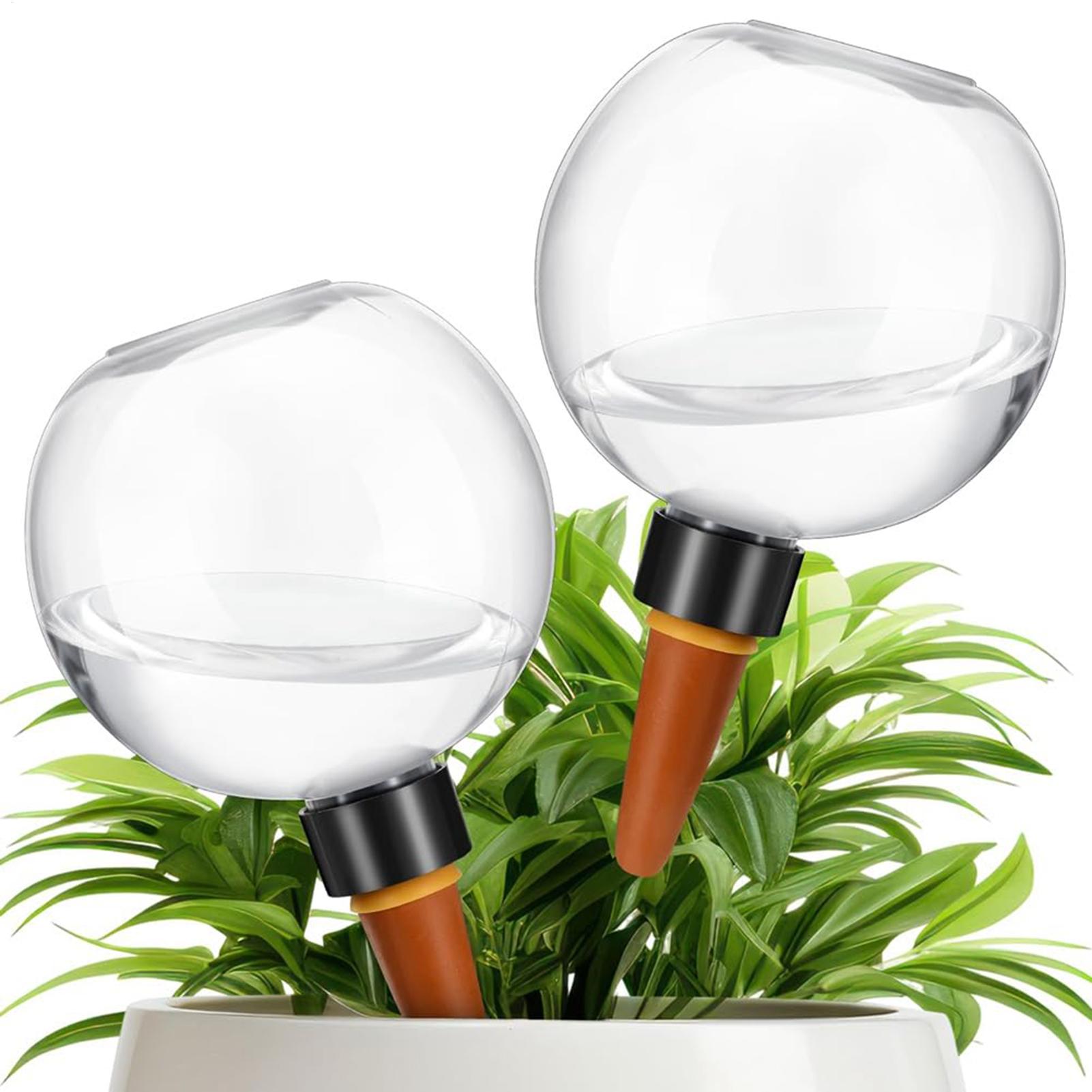 500 مللي لمبات سقي النباتات ال - مراجعة Plant Watering Globe وسعره