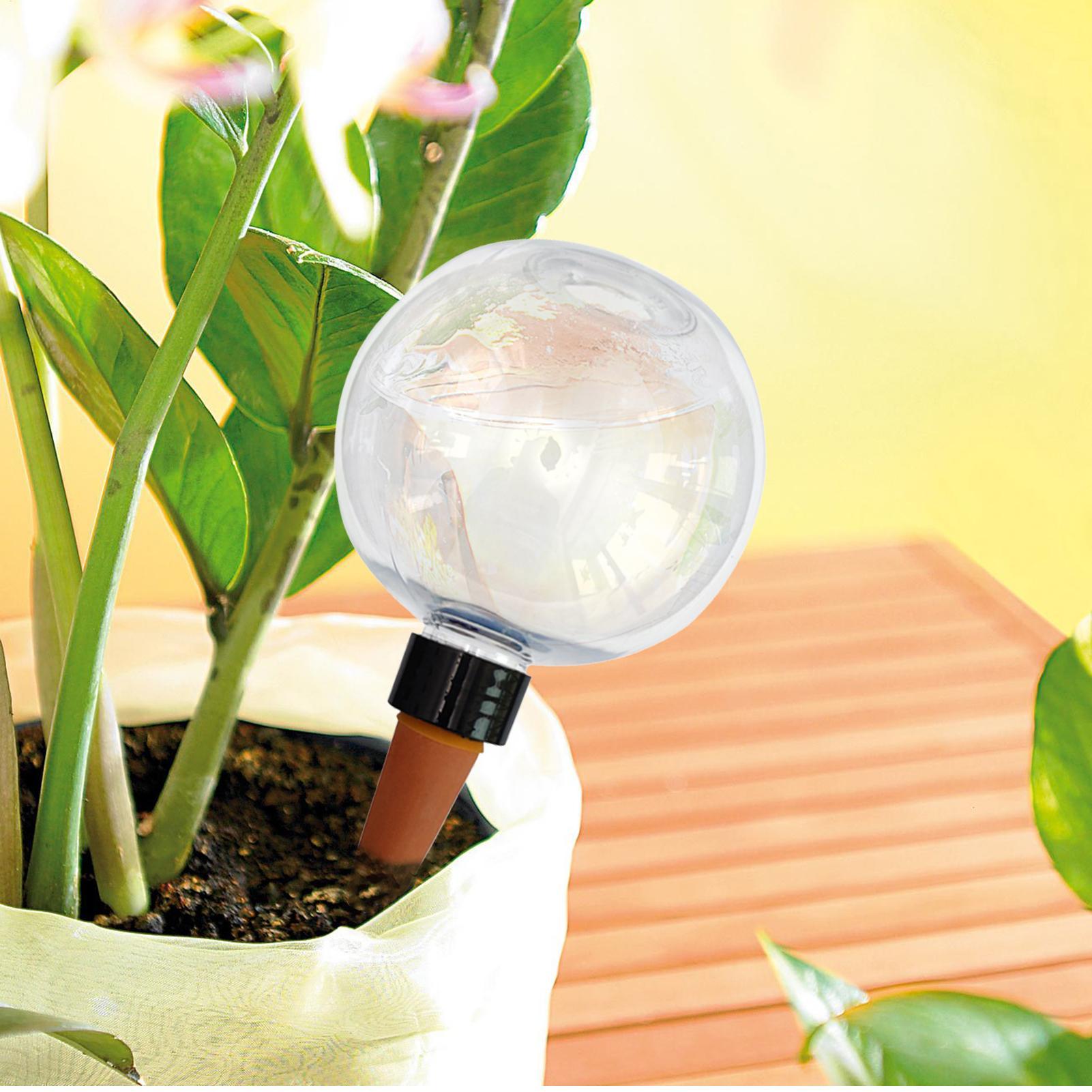 500 مللي لمبات سقي النباتات ال - مراجعة Plant Watering Globe وسعره
