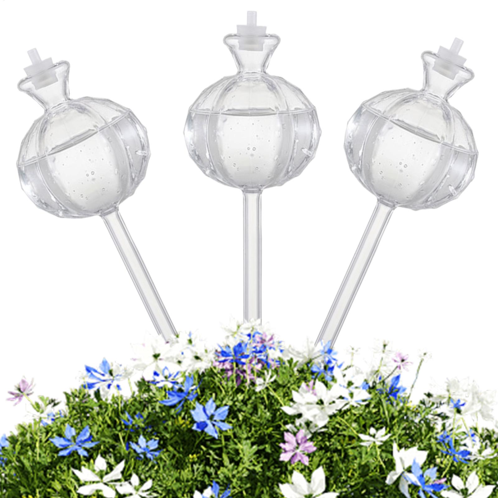 كرات ري النباتات الأوتوماتيكية - مراجعة Plant Watering Globe وسعره